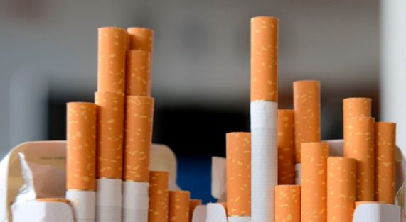 Highest quality for you