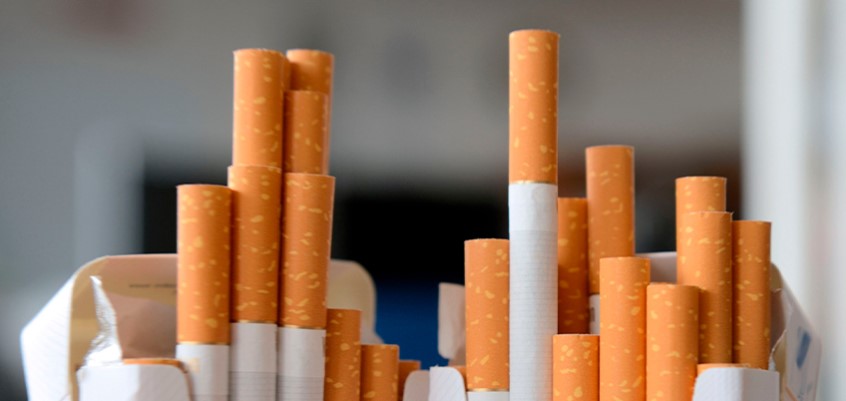 Highest quality for you