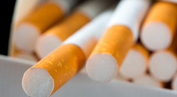 Your favorite brands online